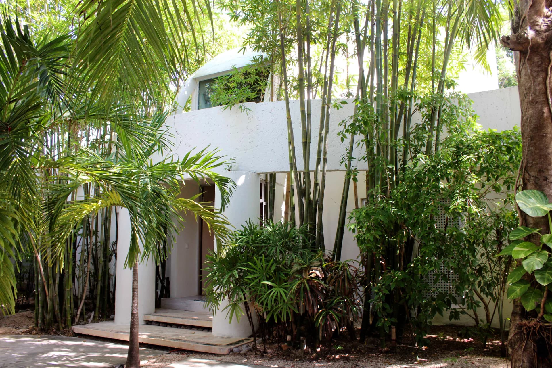 Campestre House in Cancún - IMG_5725