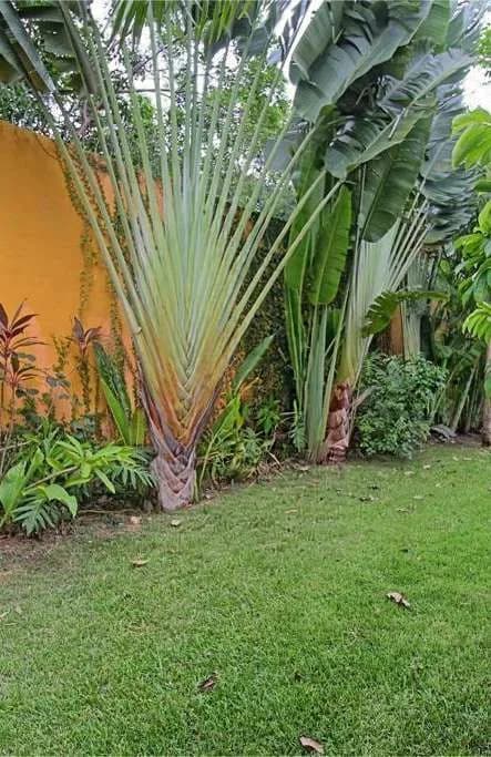 Lagos del Sol 23 House in Cancún - interior