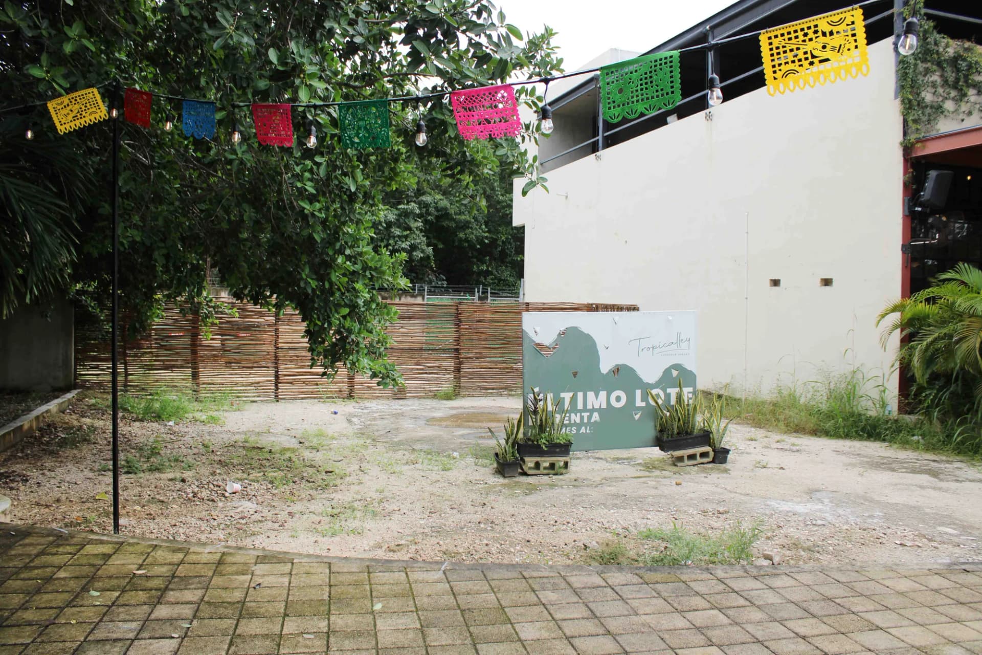 Lote Tropicalley in Cancún - 5