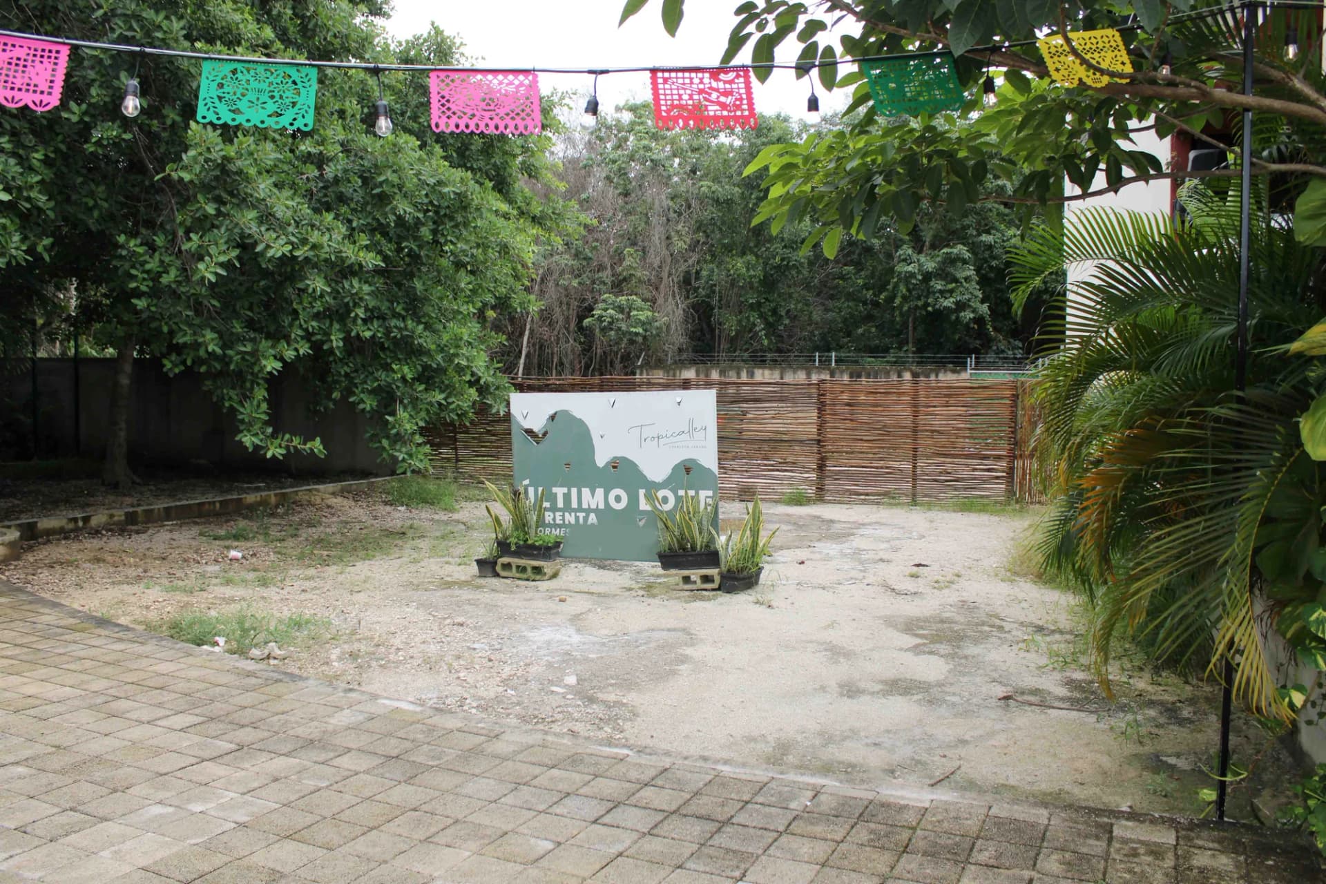 Lote Tropicalley in Cancún - 6