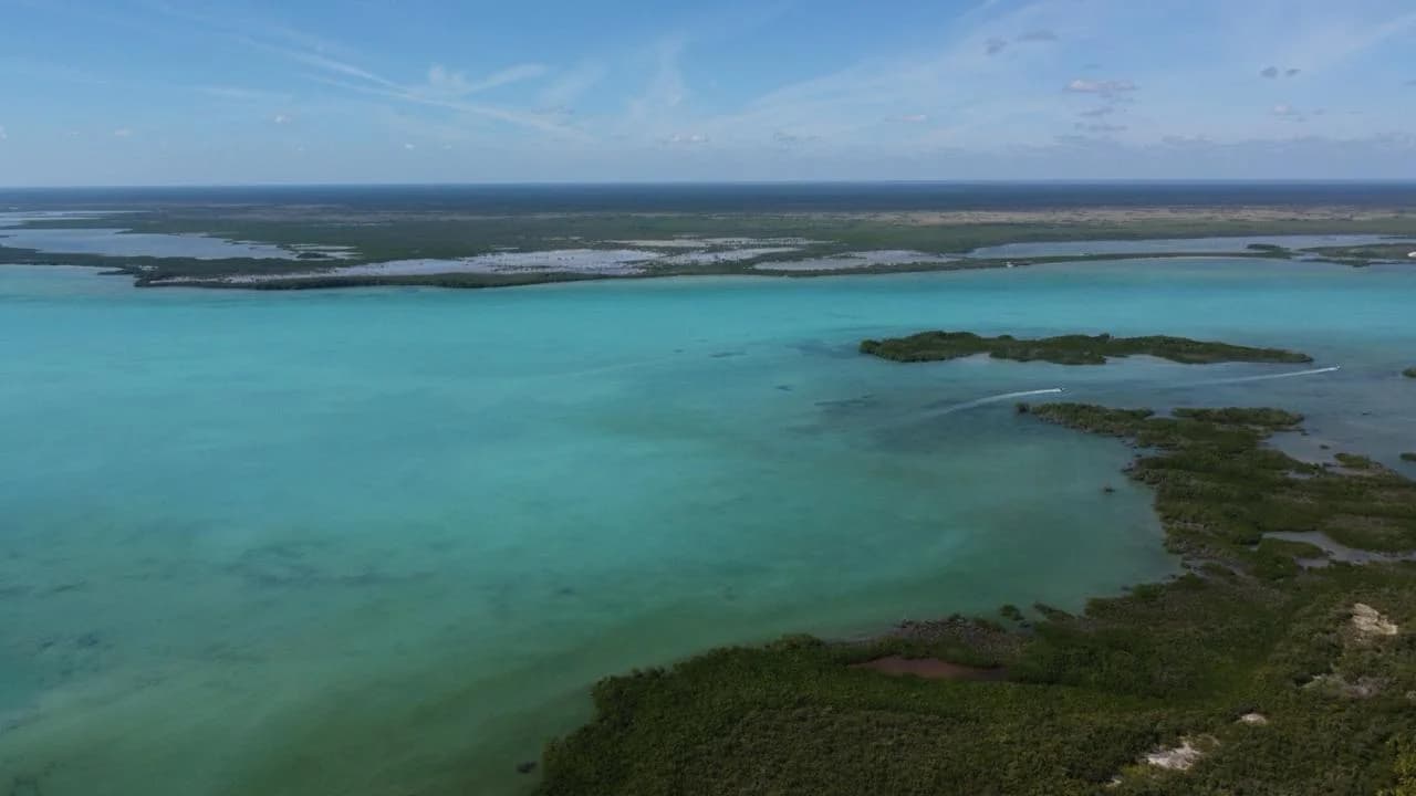 Punta Allen Frente A Playa Land in Tulum - PHOTO-2024-01-22-11-49-14 5