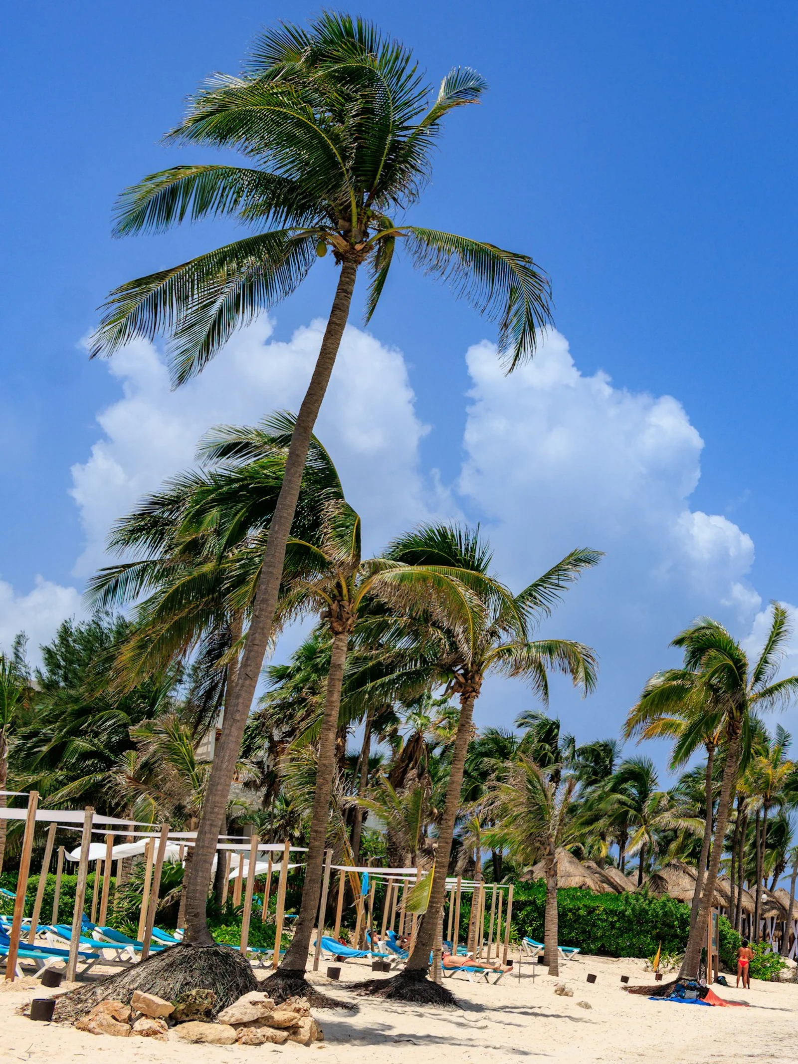 Caribbean beach lifestyle representing Cozumel island living