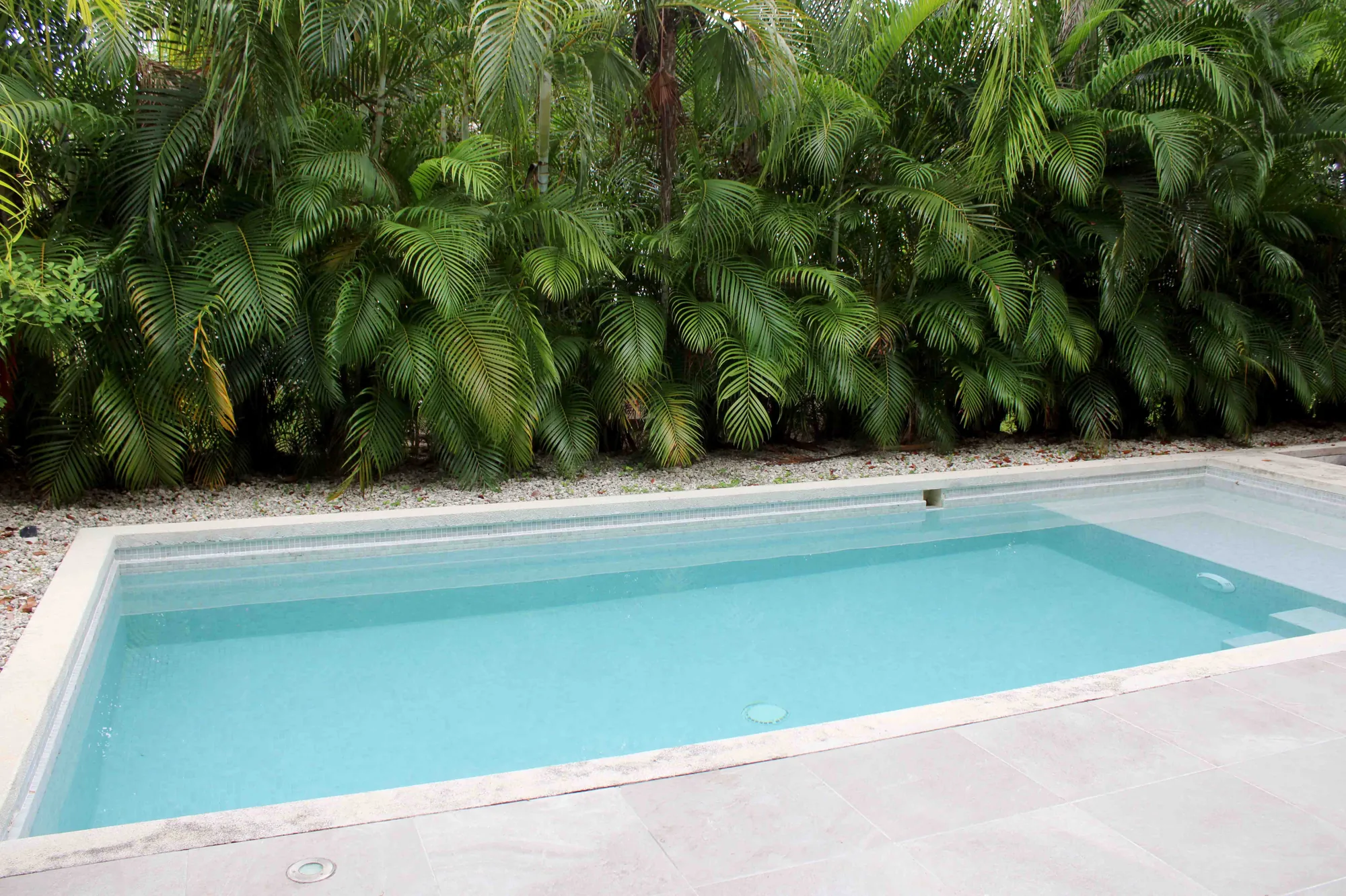 Alberca privada de Casa Colibrí
