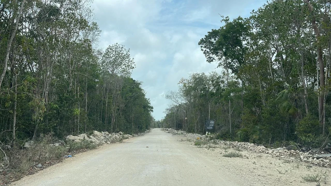 Terreno Terreno Tulum Región 15 en Tulum - WhatsApp Image 2024-05-15 at 15.54.04 (1)