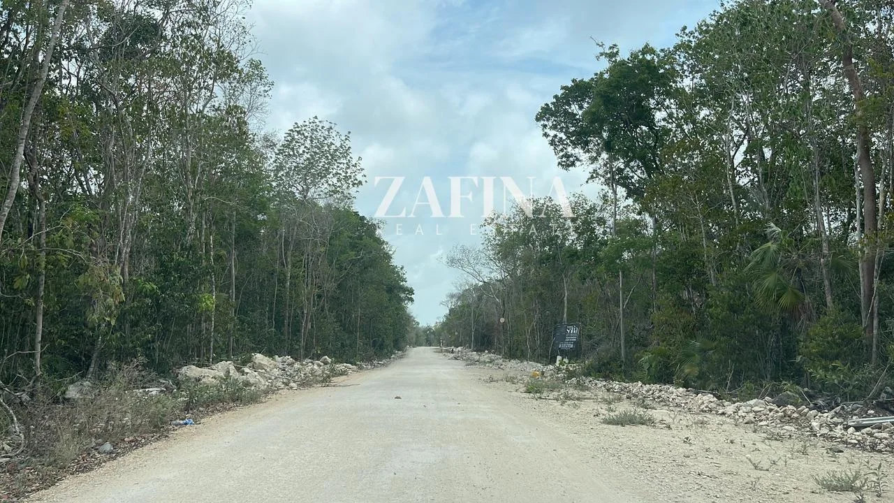 Terreno Terreno Tulum Región 15 en Tulum - WhatsApp Image 2024-05-15 at 15.54.04 (1)