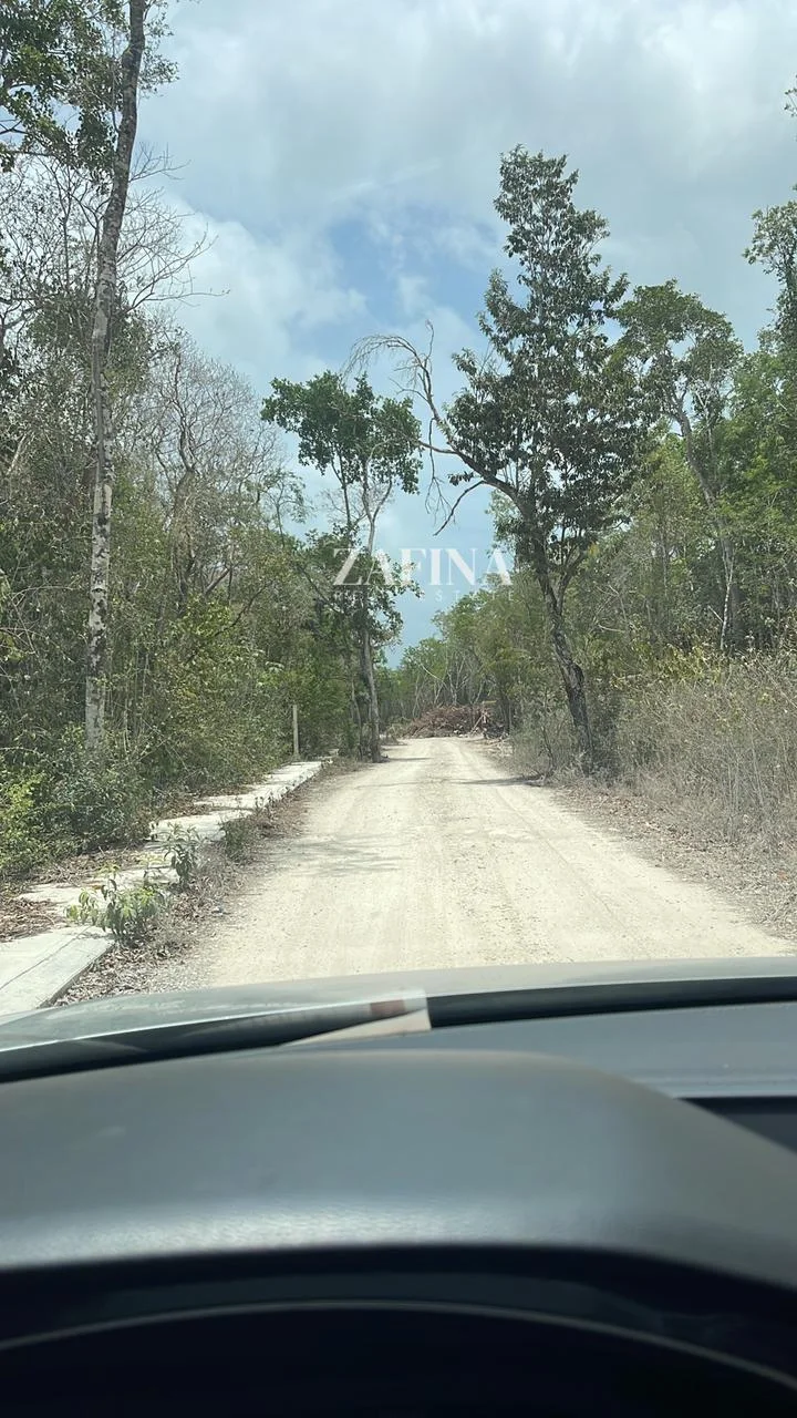 Terreno Terreno Tulum Región 15 en Tulum - WhatsApp Image 2024-05-15 at 15.54.04