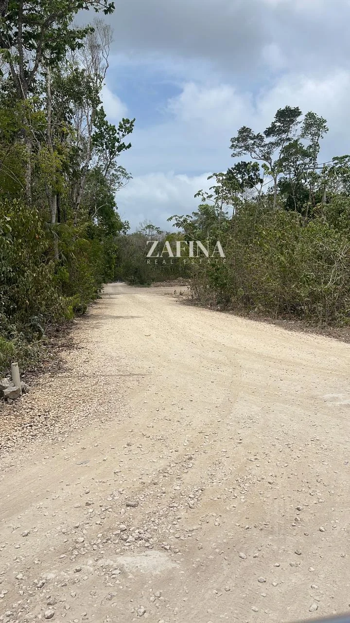 Terreno Terreno Tulum Región 15 en Tulum - WhatsApp Image 2024-05-15 at 15.54.03