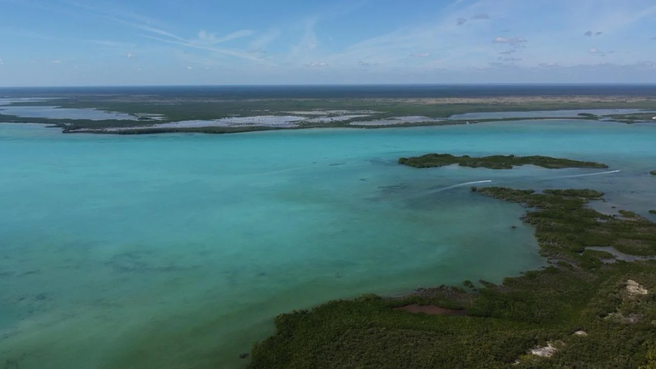 Punta Allen Frente A Playa Land in Tulum - PHOTO-2024-01-22-11-49-14 5
